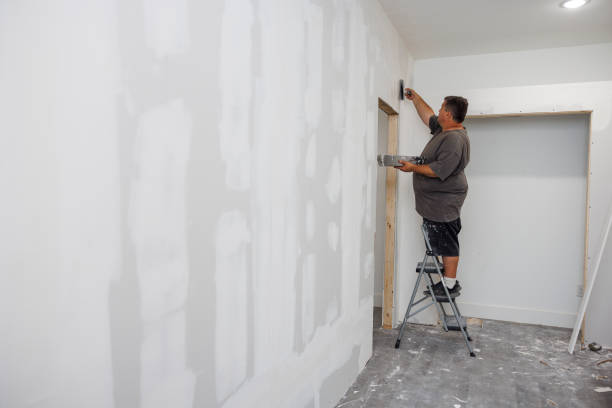 Best Airborne Mold Testing  in Rossville, IN