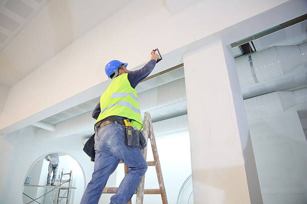 Best Mold Prevention Services  in Rossville, IN